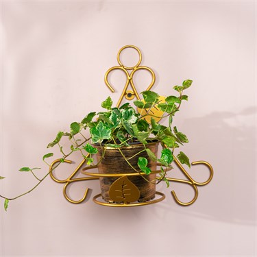 {{photo.Alt || photo.Description || 'Подставка настенная для одного растения 150-225R со съёмной корзиной'}}