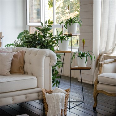 {{photo.Alt || photo.Description || 'Стойка для цветов лофт 66-424'}}