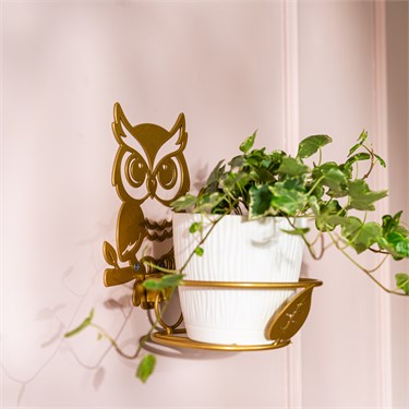 {{photo.Alt || photo.Description || 'Подставка настенная для одного растения Сова 150-0218 со съёмной корзиной d=12 см'}}