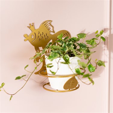 {{photo.Alt || photo.Description || 'Подставка настенная для одного растения Золотая рыбка 150-0215 со съёмной корзиной d=12 см'}}