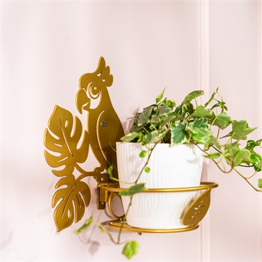 {{photo.Alt || photo.Description || 'Подставка настенная для одного растения Попугай 150-0213 со съёмной корзиной d=12 см'}}