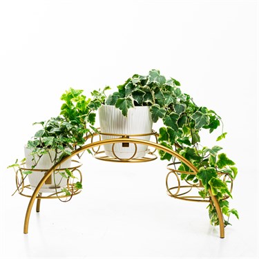 {{photo.Alt || photo.Description || 'Подставка разборная на подоконник для 3 кашпо 41-021R металлическая d=14 см'}}