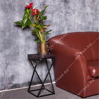 {{photo.Alt || photo.Description || 'Напольная подставка для цветов 66-212'}}