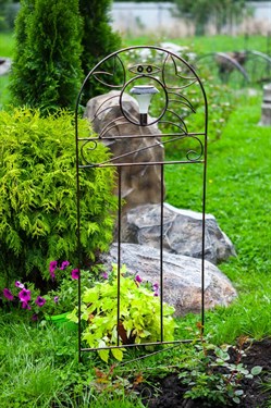{{photo.Alt || photo.Description || 'Шпалера садовая с фонарём Краб 57-709 h=146 см'}}
