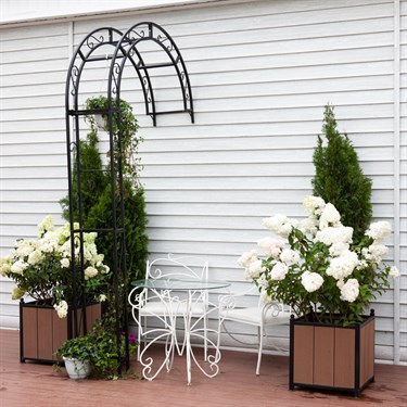 {{photo.Alt || photo.Description || 'Арка пристенная разборная для растений 863-41R h=270 см'}}