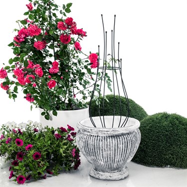 {{photo.Alt || photo.Description || 'Металлическая опора для садовых растений 58-961B h=92 см'}}