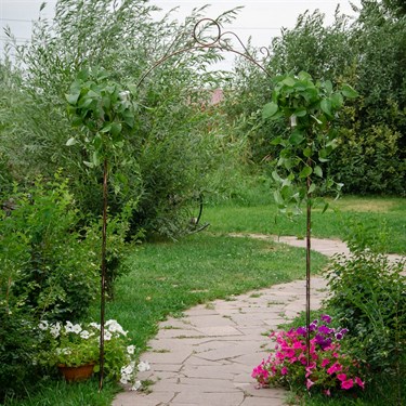 {{photo.Alt || photo.Description || 'Арка кованая 863-31R'}}