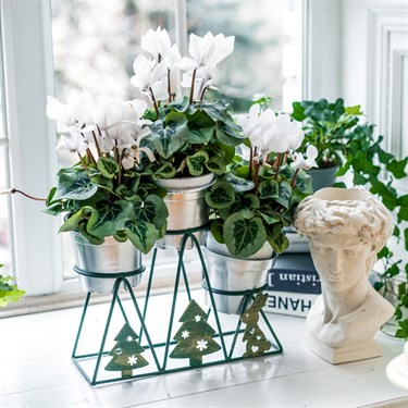 {{photo.Alt || photo.Description || 'Подставка для цветов на три кашпо 660-003'}}