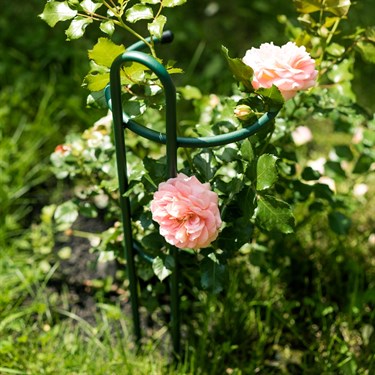 {{photo.Alt || photo.Description || 'Опора для садовых растений 58-927 h=50 см'}}