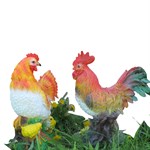 Курица и петух