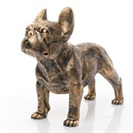 подарить собаку