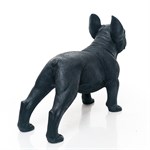 французский бульдог U09338