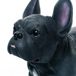 лёгкая фигура для дома