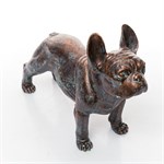 бульдог в подарок