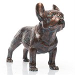 собака в подарок