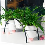 на подоконник