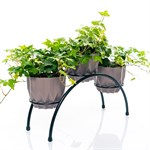 для цветов для цветов