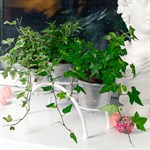 подставка на подоконник подставка на подоконник