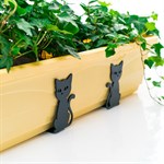 для растений