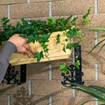 для одного кашпо