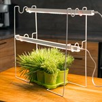 для роста растений