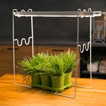 для растений