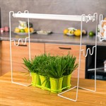 для выращивания рассады