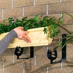 для ящика с растениями