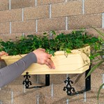 для ящика с цветами