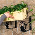 для ящика с цветами для ящика с цветами