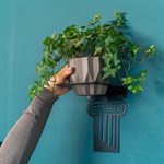 для растений для растений