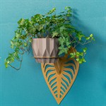 под одно растение