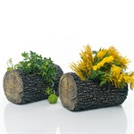 для растений