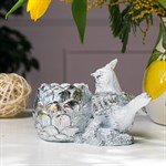 птичка птичка