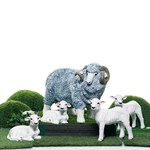 домашние животные