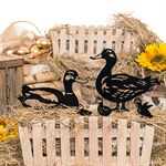 утиные истории