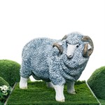 фигура баран