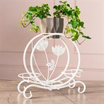 для 4 растений