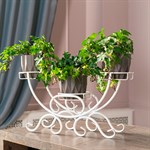 на 3 растения