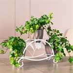 для 3 растений для 3 растений