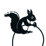 белка белка