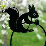 шпалера белка шпалера белка