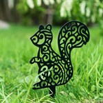 белка в саду