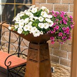 вазон в модной покраске