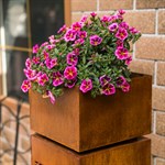 вазон для растений вазон для растений