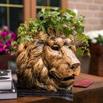 голова льва