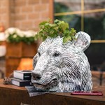 для растений для растений