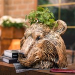 для цветов для цветов