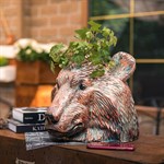 для растений для растений