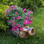 амфора для цветов